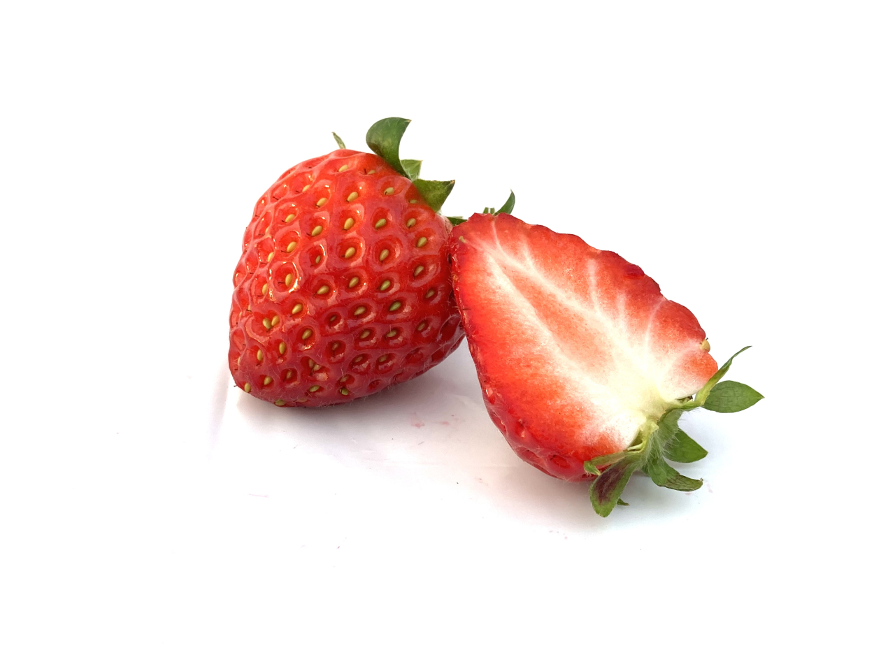 写真 2024-01-25 16 22 26