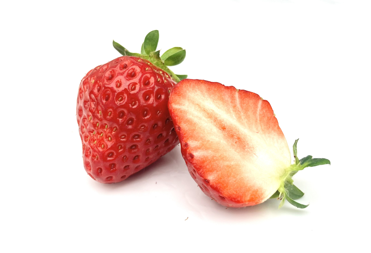 写真 2026-02-10 15 34 09