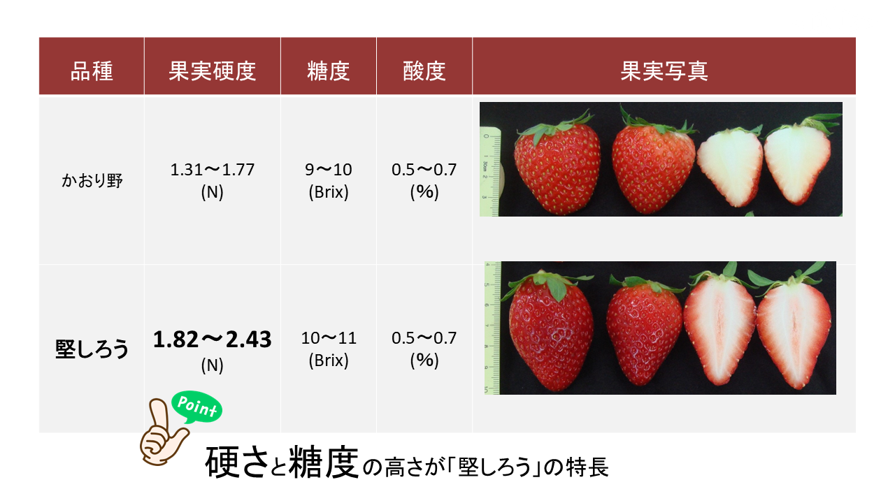 堅しろう かおり野 品質データ 資料