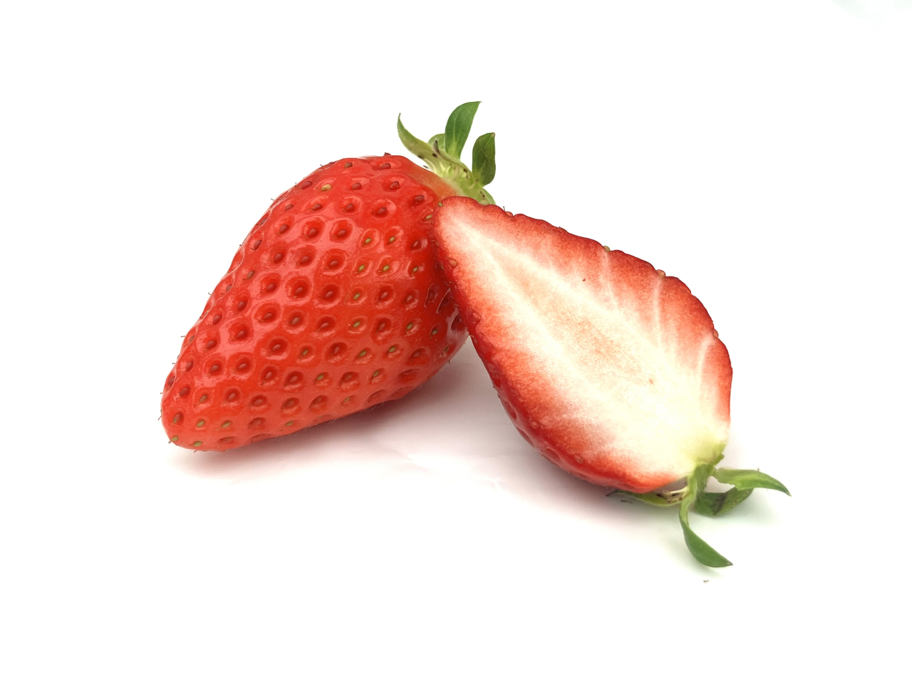 写真 2026-02-10 15 17 56