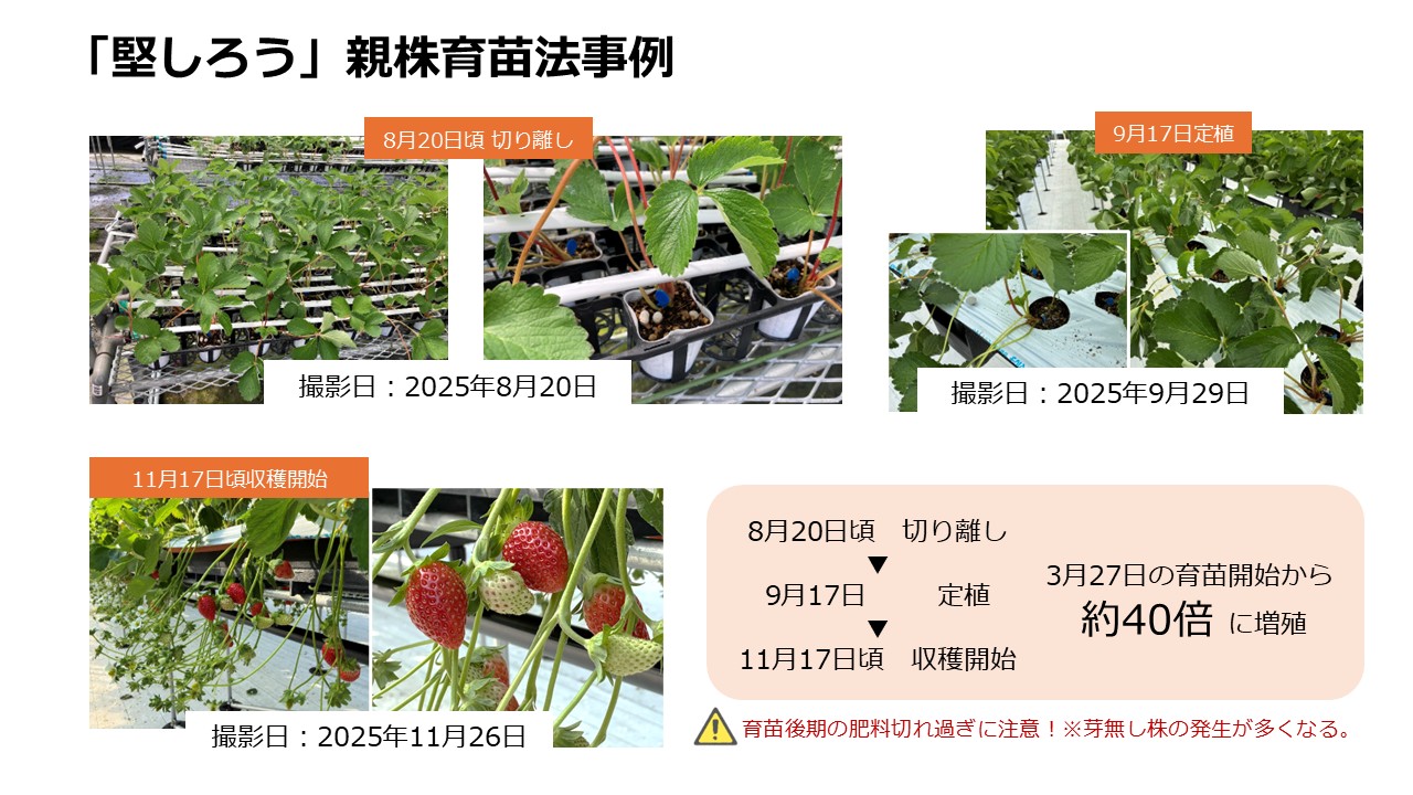 マツダHP掲載用に修正② 