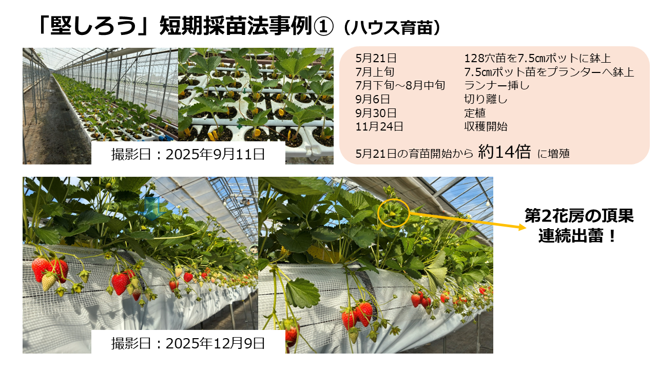 マツダHP掲載用に修正③ 