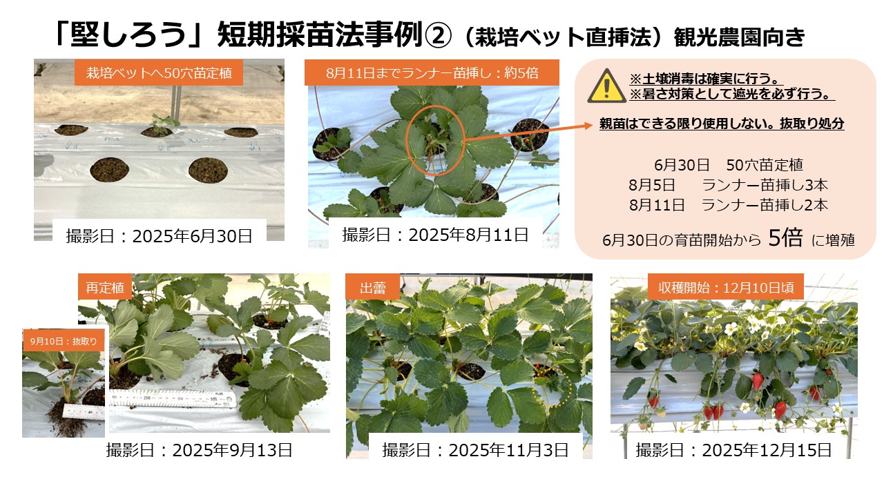 マツダHP掲載用に修正④ 