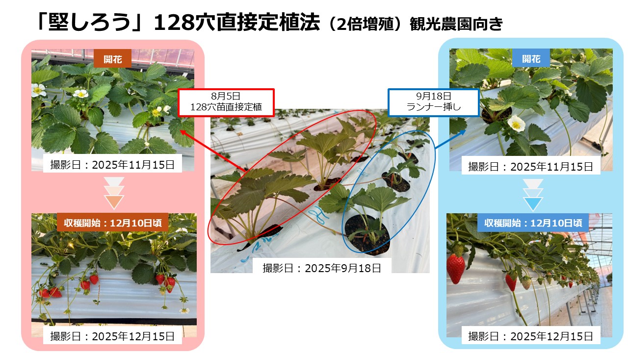 マツダHP掲載用に修正⑤
