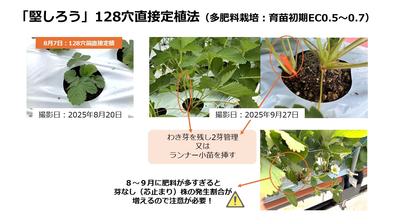 マツダHP掲載用に修正⑥
